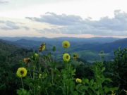 PARQUE ESTADUAL DO IBITIPOCA FECHA AS PORTAS POR 30 DIAS