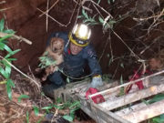 CACHORRO CAI EM CISTERNA E É SALVO PELOS BOMBEIROS