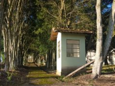 ARTIGO: NO BRASIL, A SAÚDE DO AMBIENTE E DO TRABALHO EXIGEM IMPEDIR QUE A “BOIADA PASSE”