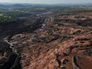 COLUNA AGRIDOCE: CONFINEM O GADO, CRIMES AMBIENTAIS NÃO PRESCREVEM MAIS