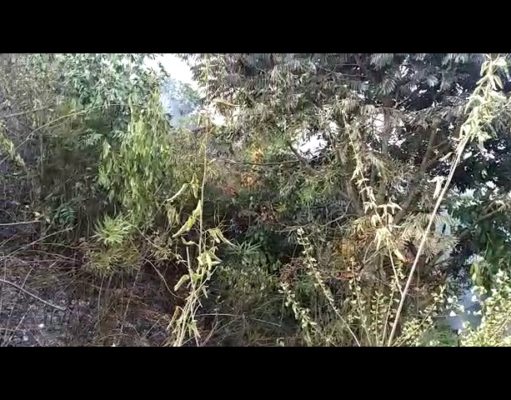 EM SÃO JOÃO DEL-REI, INCÊNDIOS URBANOS AMEAÇAM POPULAÇÃO EM QUARENTENA