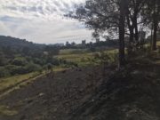BARBACENA: INCÊNDIO NA RESERVA DO PONTO DE PARTIDA PODE TER SIDO CRIMINOSO