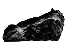 COLUNA AGRIDOCE: A CARNE MAIS BARATA DO MERCADO AINDA É A CARNE NEGRA