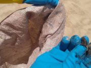 ÓLEO VOLTA A POLUIR PRAIAS DE ALAGOAS E PERNAMBUCO