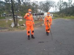 MULHER ENCONTRA CASCAVEL NO QUINTAL DE CASA
