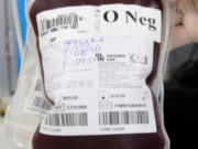 sangue
