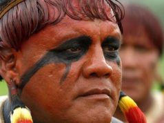 ARTIGO: GOVERNO BOLSONARO ESTIMULA O ATAQUE AOS POVOS INDÍGENAS