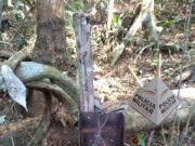 PM APREENDE ARMAS DE CAÇA DE FABRICAÇÃO CASEIRA