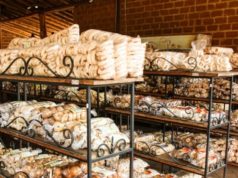 SÃO TIAGO: PRODUTORES DE BISCOITO REIVINDICAM CONDOMÍNIO INDUSTRIAL