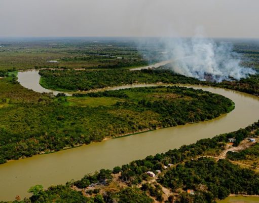 ARTIGO: O AMBIENTE DA PANDEMIA NÃO PERMITE REDUCIONISMOS