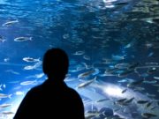 SETEMBRO DOURADO CHAMA ATENÇÃO PARA CRIANÇAS E ADOLESCENTES COM CÂNCER