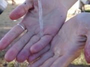 TARIFA SOCIAL BENEFICIA 86,5% DOS USUÁRIOS DA COPASA